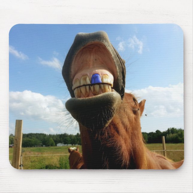 Blue Tooth Enabled Horse Mouse Mat (Front)