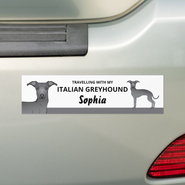 Blue - Travelling With My Italian Greyhound Dog Bumper Sticker (On Car)