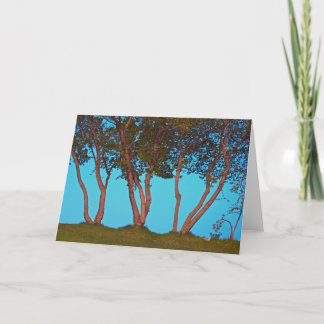 Blue Trees Card