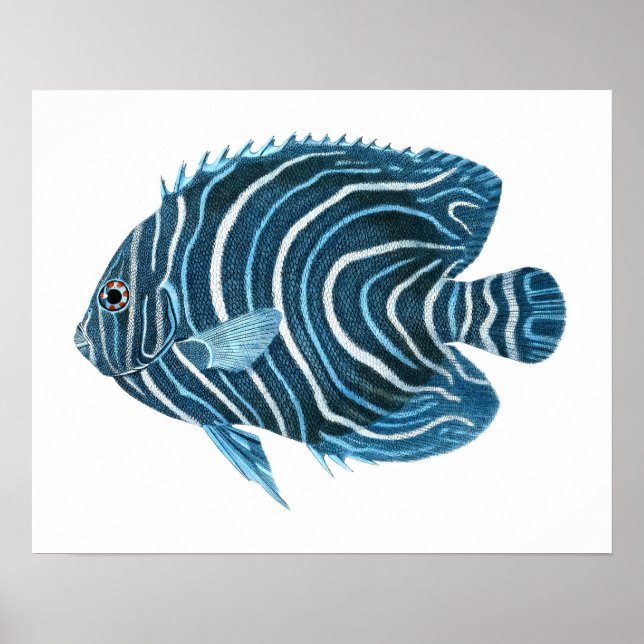 Blue Tropical Fish Print no.1 (Front)