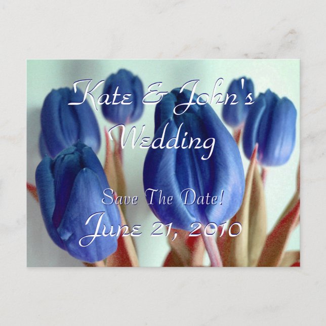 Blue Tulips Announcement Postcard (Front)