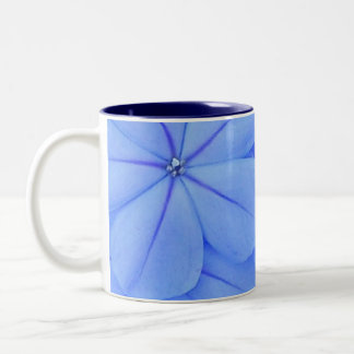 Blue Two-Tone Coffee Mug