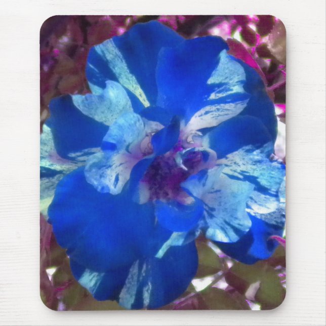 Blue Variegated Rose mousepad (Front)