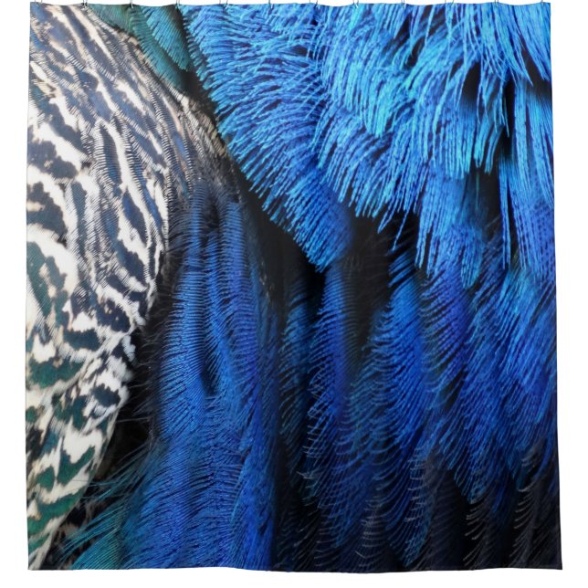 Blue Velvet Peacock Feathers Shower Curtain (Front)