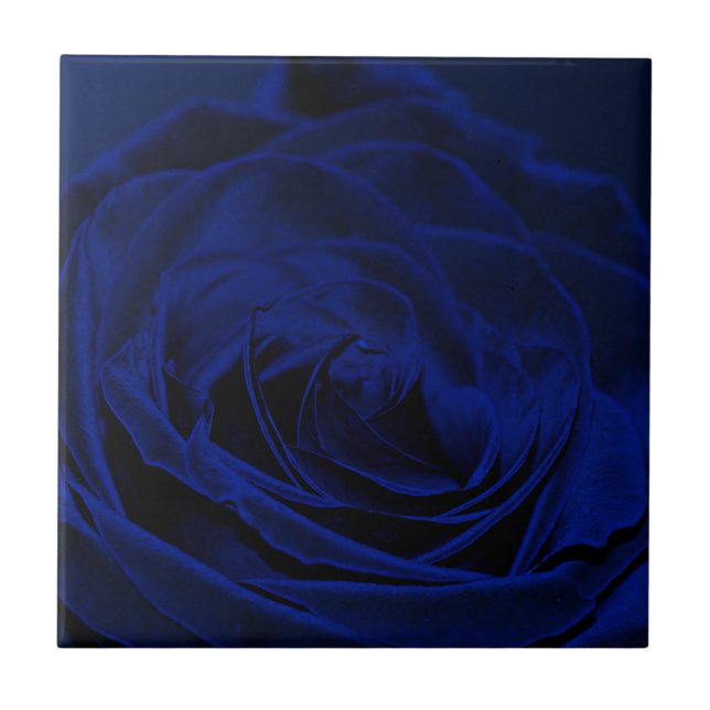 Blue Velvet rose.jpg Tile (Front)