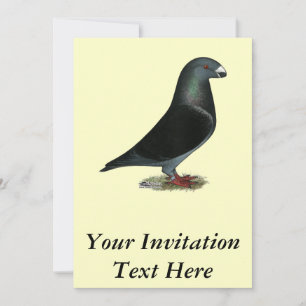 Blue Velvet Show Racer Invitation