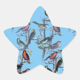 Blue Vintage Art Birds pattern accessories LeahG Star Sticker
