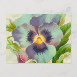 Blue Vintage Pansy Watercolor Postcard