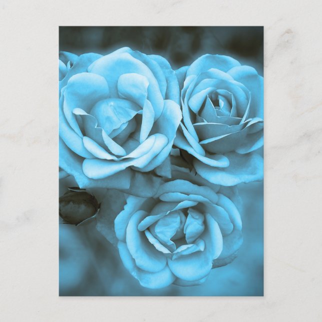 Blue Vintage Roses Postcard (Front)