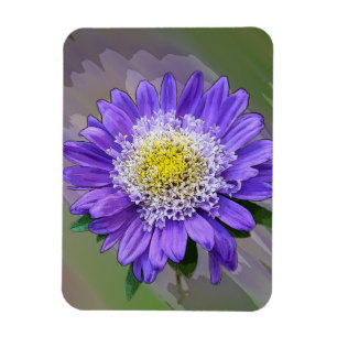 blue violet flower magnet