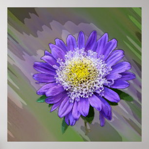 blue violet flower poster
