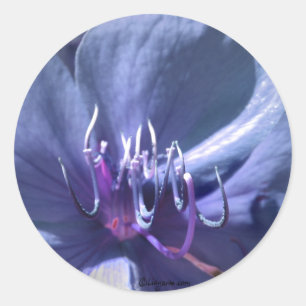 Blue Violet Wedding Envelope Seal Sticker