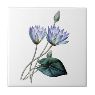 Blue Water Lilies Tile