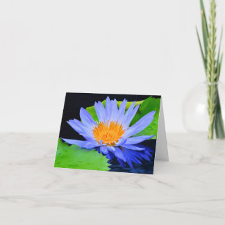 Blue Water Lily Blank Note Greeting Cards