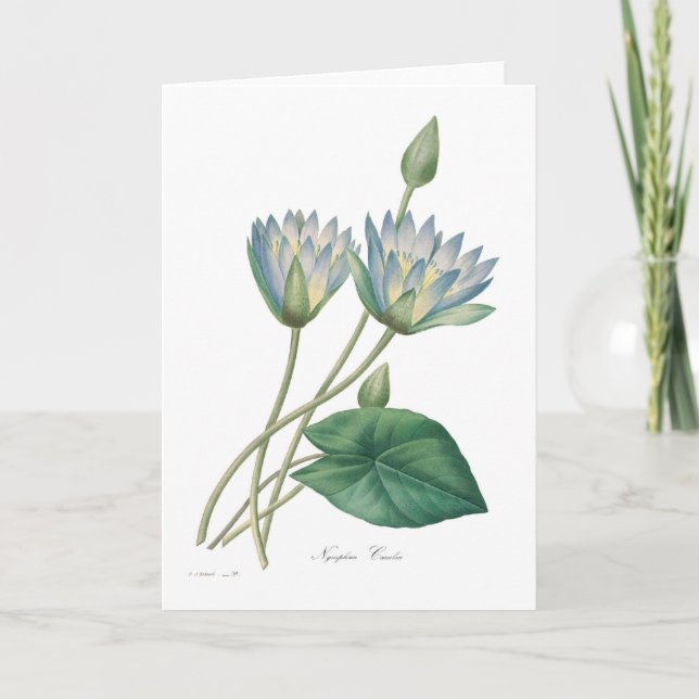 Blue Waterlily Card (Front)