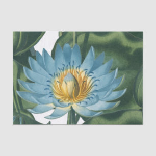 Blue Waterlily Flower Vintage  Tissue Paper