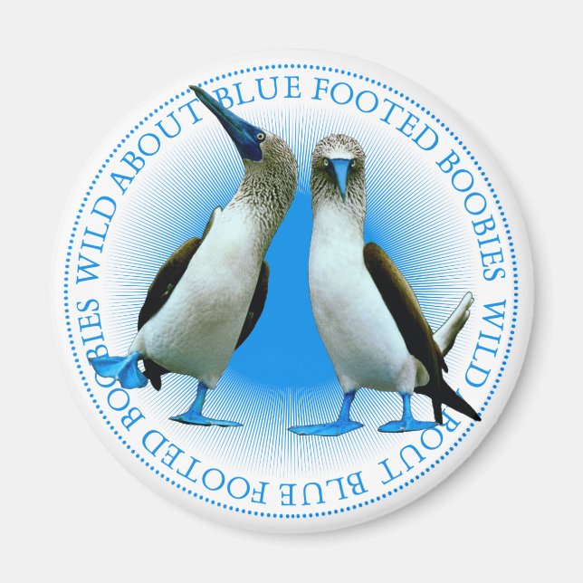 Blue Webbed Foot Birds Galapagos Islands Souvenir Magnet (Front)