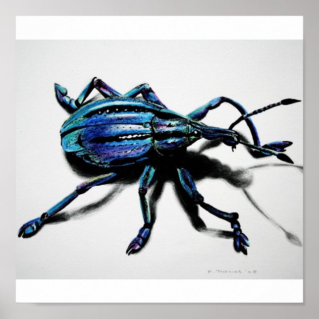 Blue Weevil Print (Front)