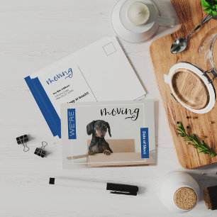 Blue We're Moving Dachshund Dog in Box Postcard