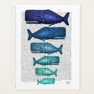 Blue Whale Family Planner
