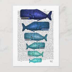 Blue Whale Family Postcard