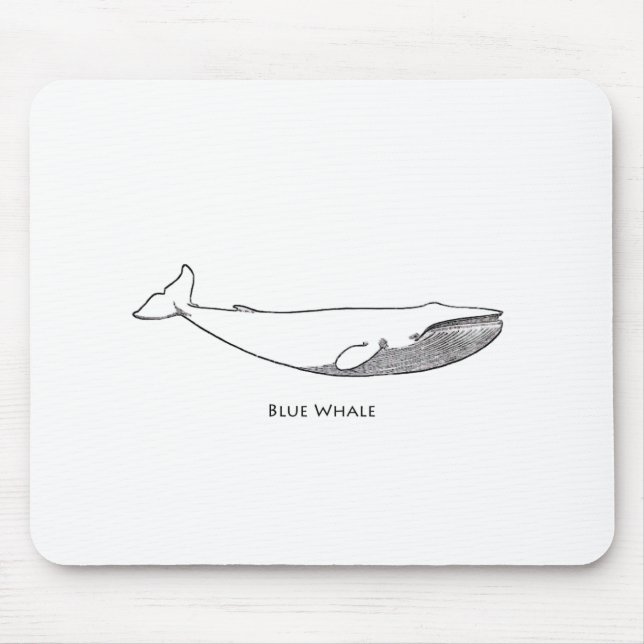 Blue Whale Illustration (line art) Mouse Mat (Front)