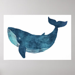     Blue Whale Illustration Small Poster