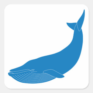 Blue Whale Marine Mammals Wildlife Oceans Square Sticker