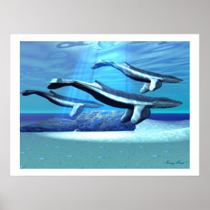 BLUE WHALE SANTUARY PRINT