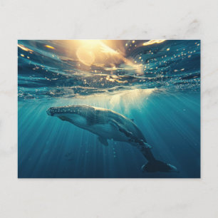 Blue Whale under water   Postcard