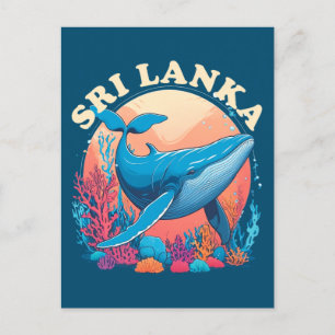 Blue whale watching in Sri Lanka Postcard