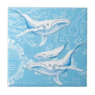 Blue Whales Family Tile