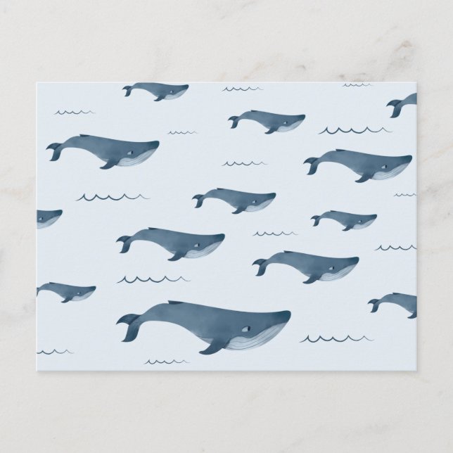 Blue Whales Swimming In The Ocean Postcard (Front)