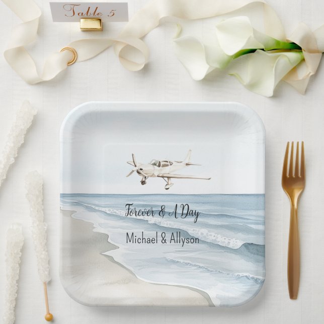 Blue White Aeroplanes Paper Plate (Wedding)