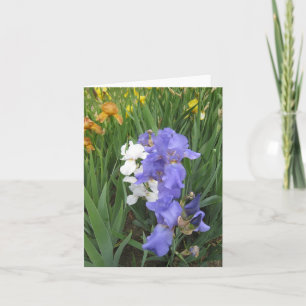 blue white amber small blank note card