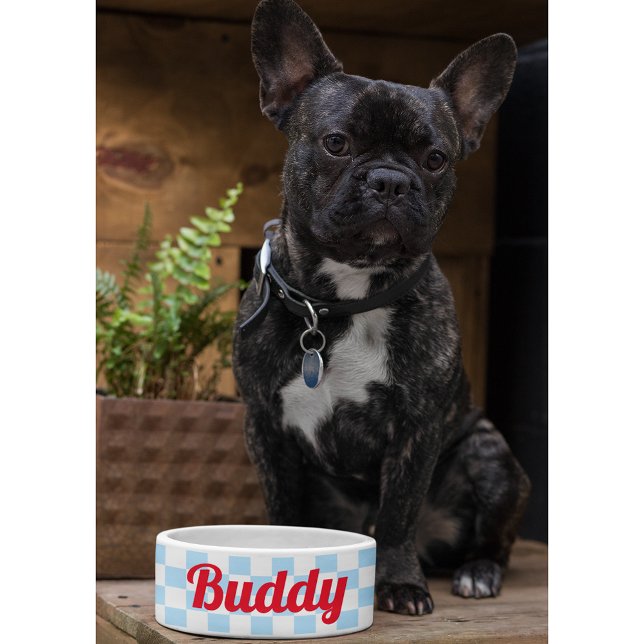 Blue White Chequered Dog Puppy Cat Name Retro Food Bowl (Blue White Checkered Dog Puppy Cat Name Retro Food Bowl)