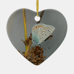 Blue White Orange with Black Spots Butterfly Ceramic Tree Decoration