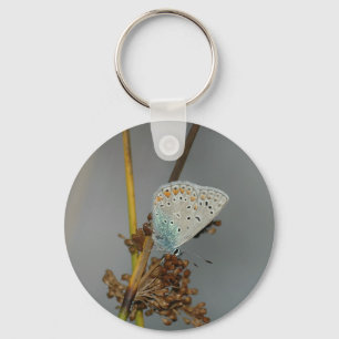 Blue White Orange with Black Spots Butterfly Key Ring