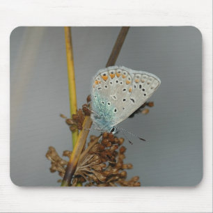 Blue White Orange with Black Spots Butterfly Mouse Mat