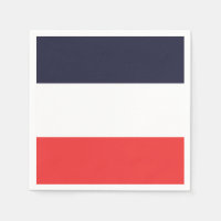 Blue White & Red Stripes Striped Party