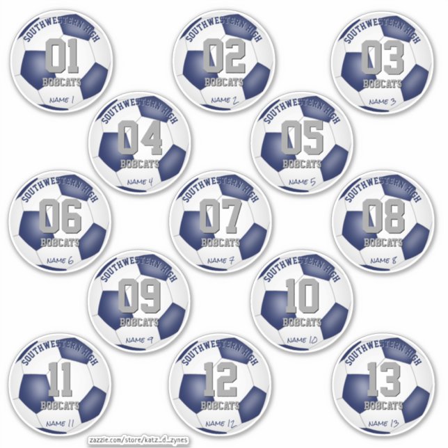 blue white soccer team colours set of 13 (Front)