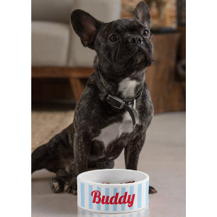 Blue White Stripes Dog Puppy Cat Name Cute Food