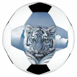 Blue White Tiger Football