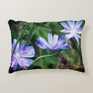 Blue Wild Chicory Flower Trio Decorative Cushion