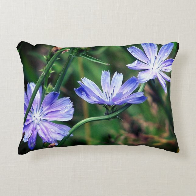Blue Wild Chicory Flower Trio Decorative Cushion (Front)