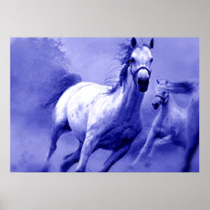 Blue Wild Horses Motivational Artwork Poster