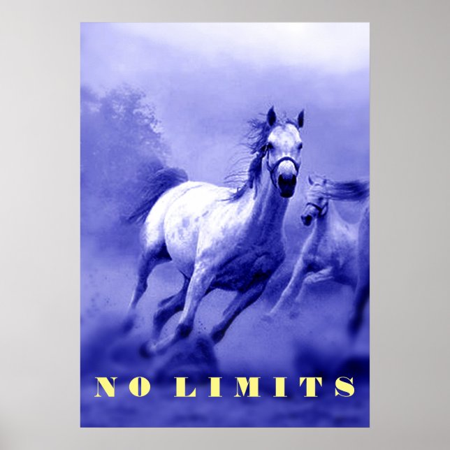 Blue Wild Horses Motivational No Limits Limitation Poster (Front)