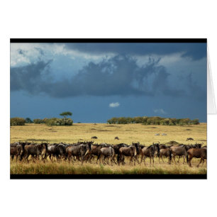 Blue Wildebeest (GNU) Masai Mara Kenya card