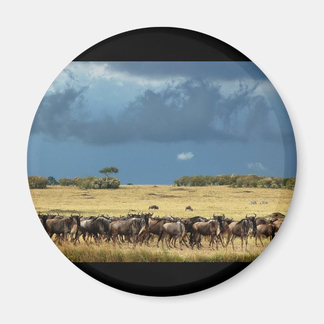 Blue Wildebeest (GNU) Masai Mara Kenya magnets (Front)