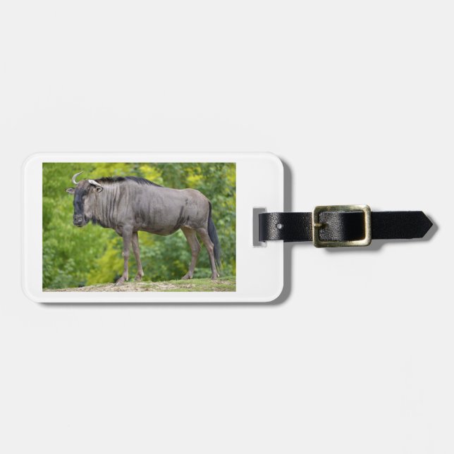 Blue wildebeest luggage tag (Front Horizontal)